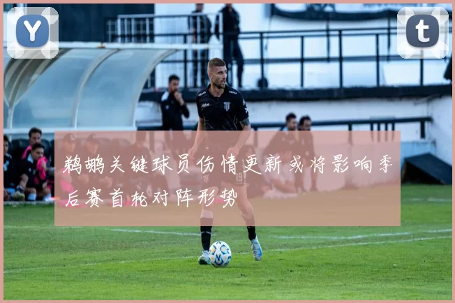 鹈鹕关键球员伤情更新或将影响季后赛首轮对阵形势